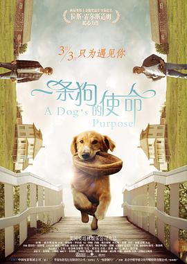 西西人体大胆艺术